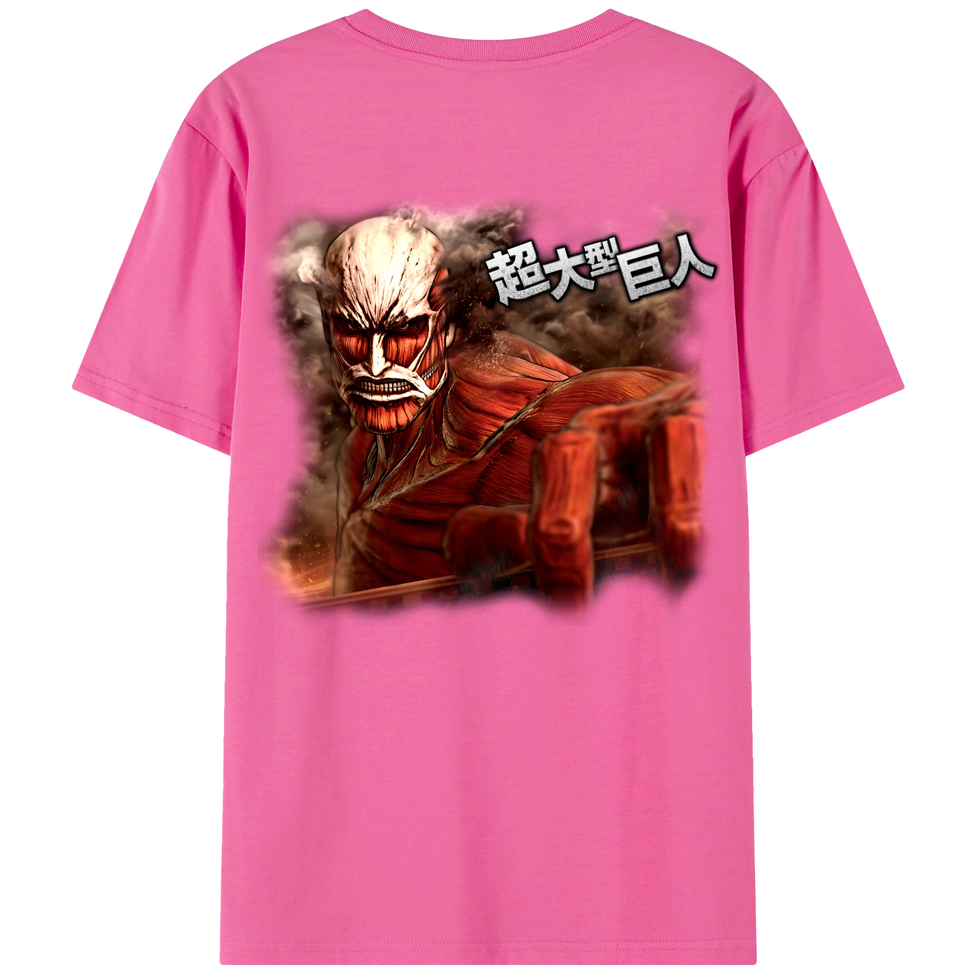 （画像用） 進撃の巨人 Attack on Titan レディース半袖Tシャツ(バックプリント)